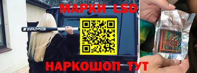 гашик Гусев