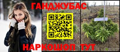 гашик Гусев