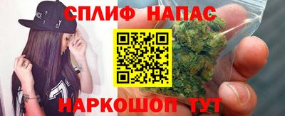 гашик Гусев