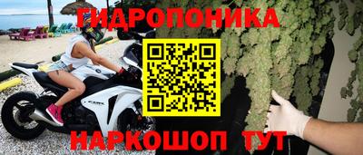 гашик Гусев