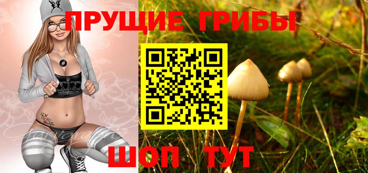 Галлюциногенные грибы Magic Shrooms Ногинск
